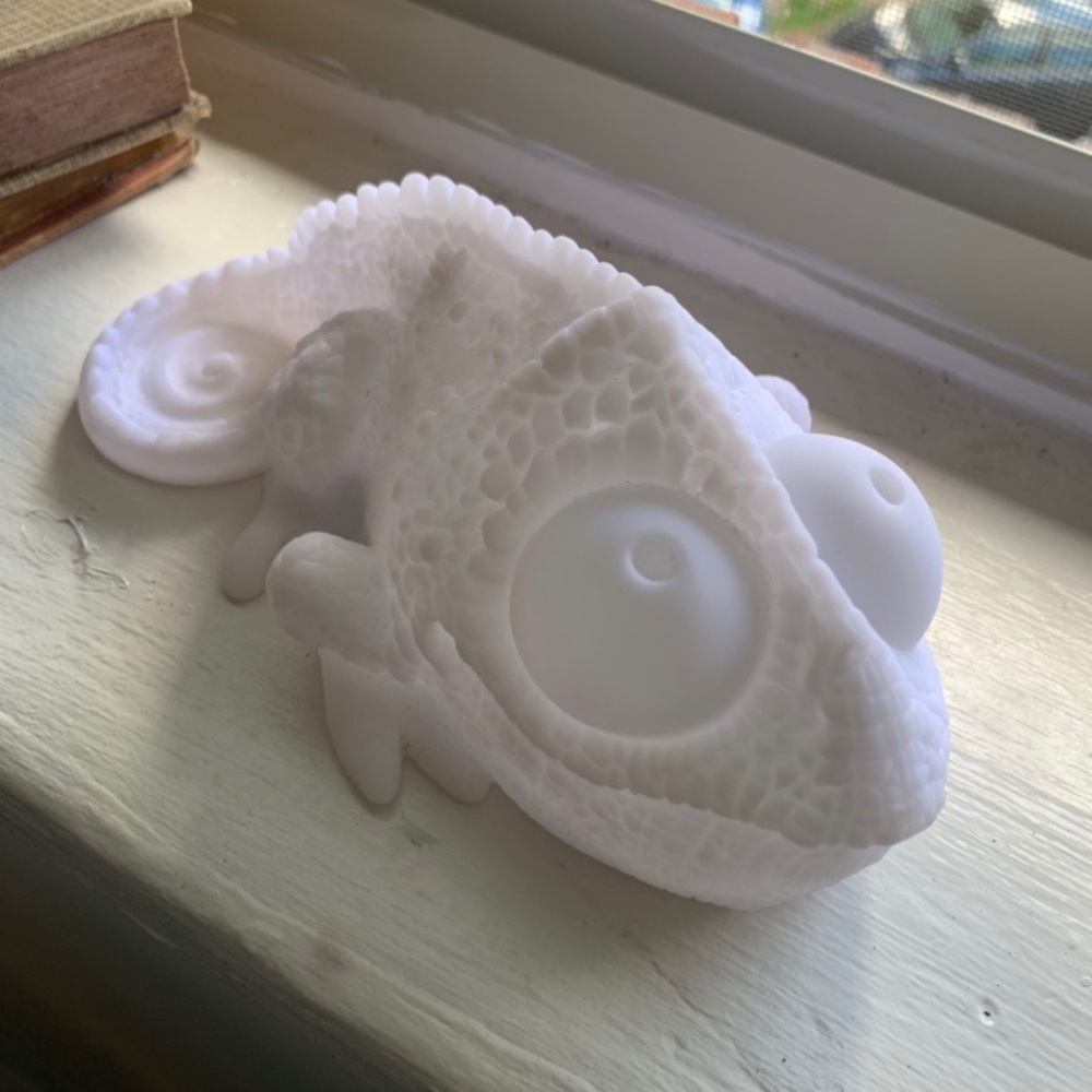 Color Changing Chameleon Light